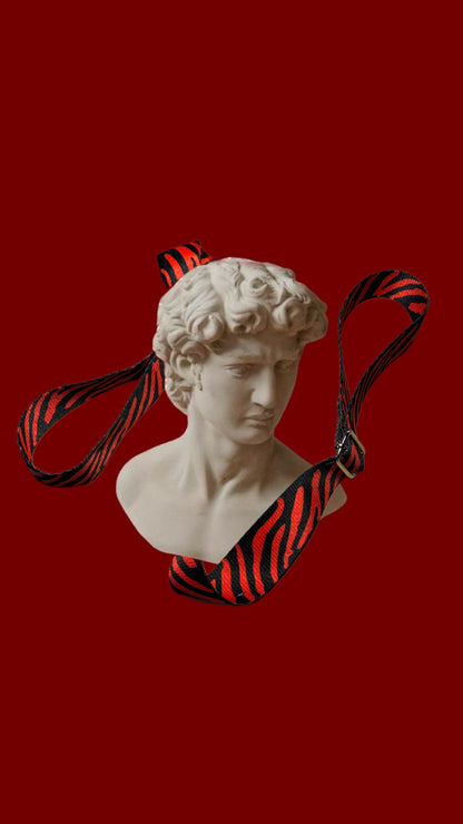 Red Zebra leash